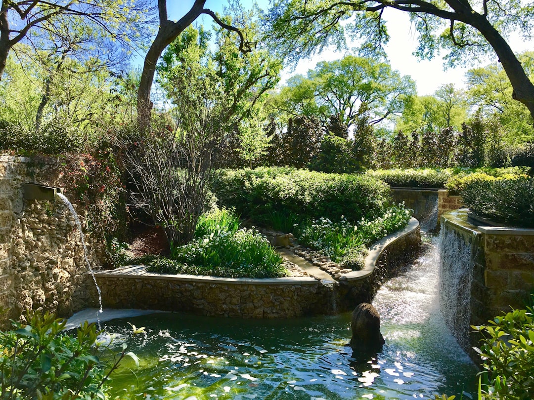 Dallas pool lifestyle scene with modern suburban outdoor living
